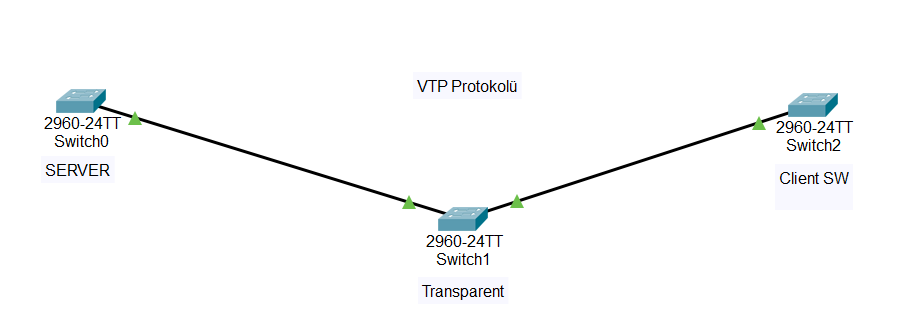 cisco trunk protokolü